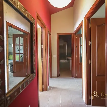 Almocabar Penthouse With Terrace And Wifi In Apartment *
